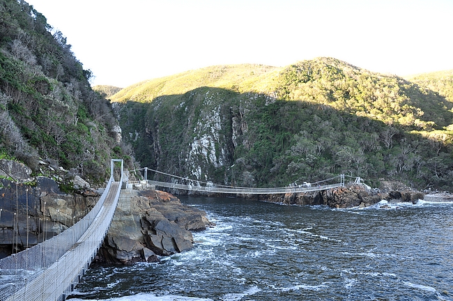 Storms River suspension bridge