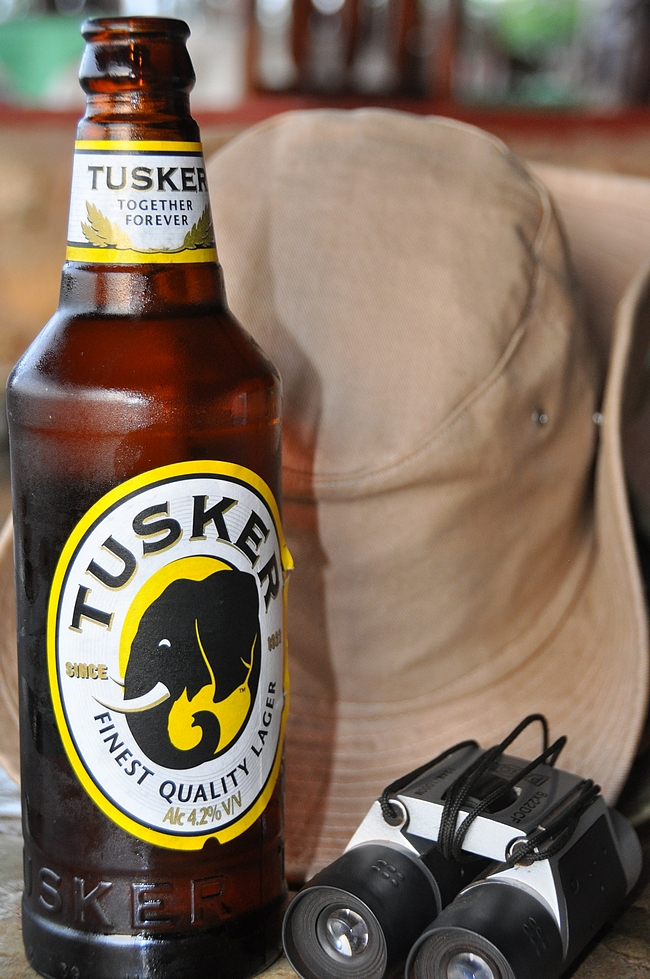 Safaripäivän jälkeen janon sammuttaa kylmä Tusker.