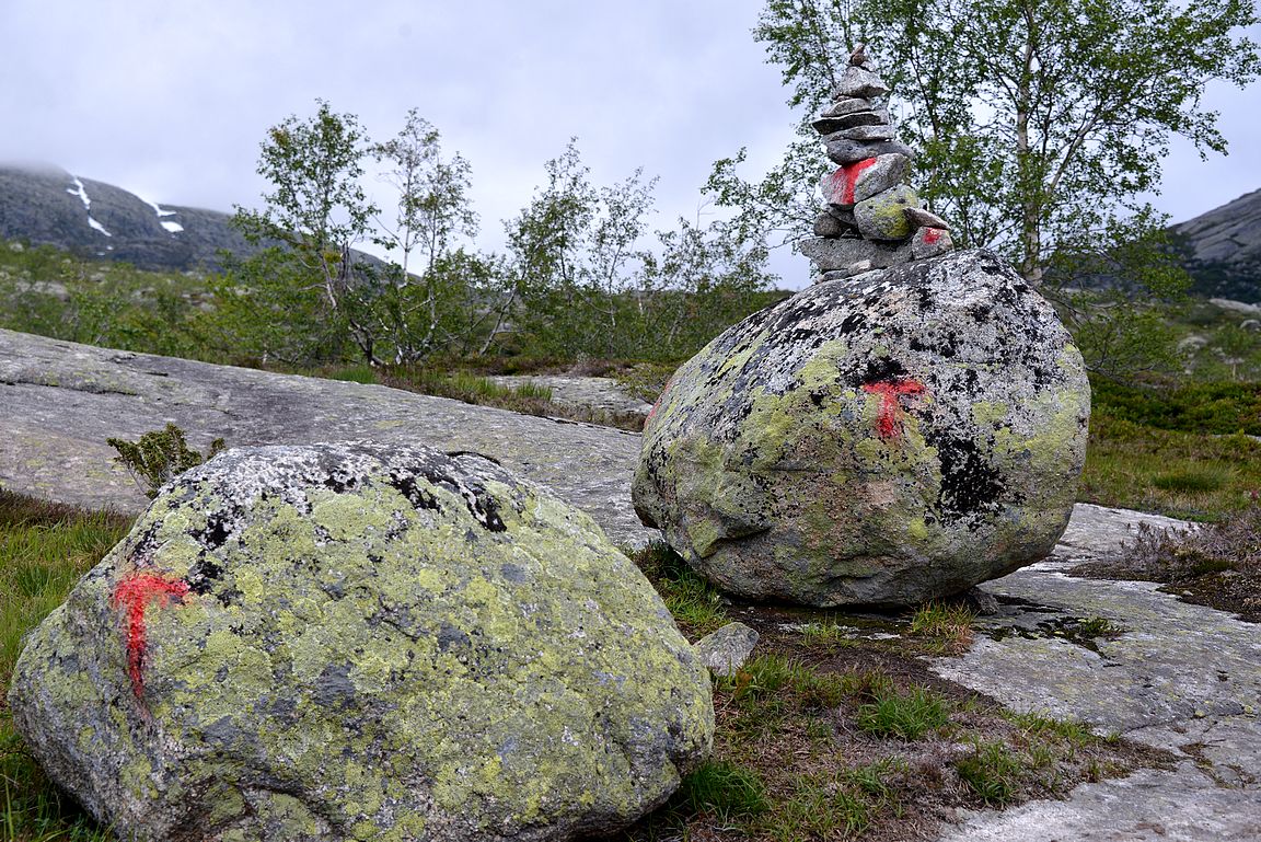 Norjassa merkitään vaellusreitit punaisella T-kirjaimella.