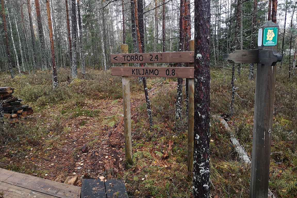 Uudistetut pitkospuut lähtevät kohti Torroa ja Idänpäänkalliota. Myös Hämeen Ilvesreitti kulkee uudistettuja pitkospuita pitkin.