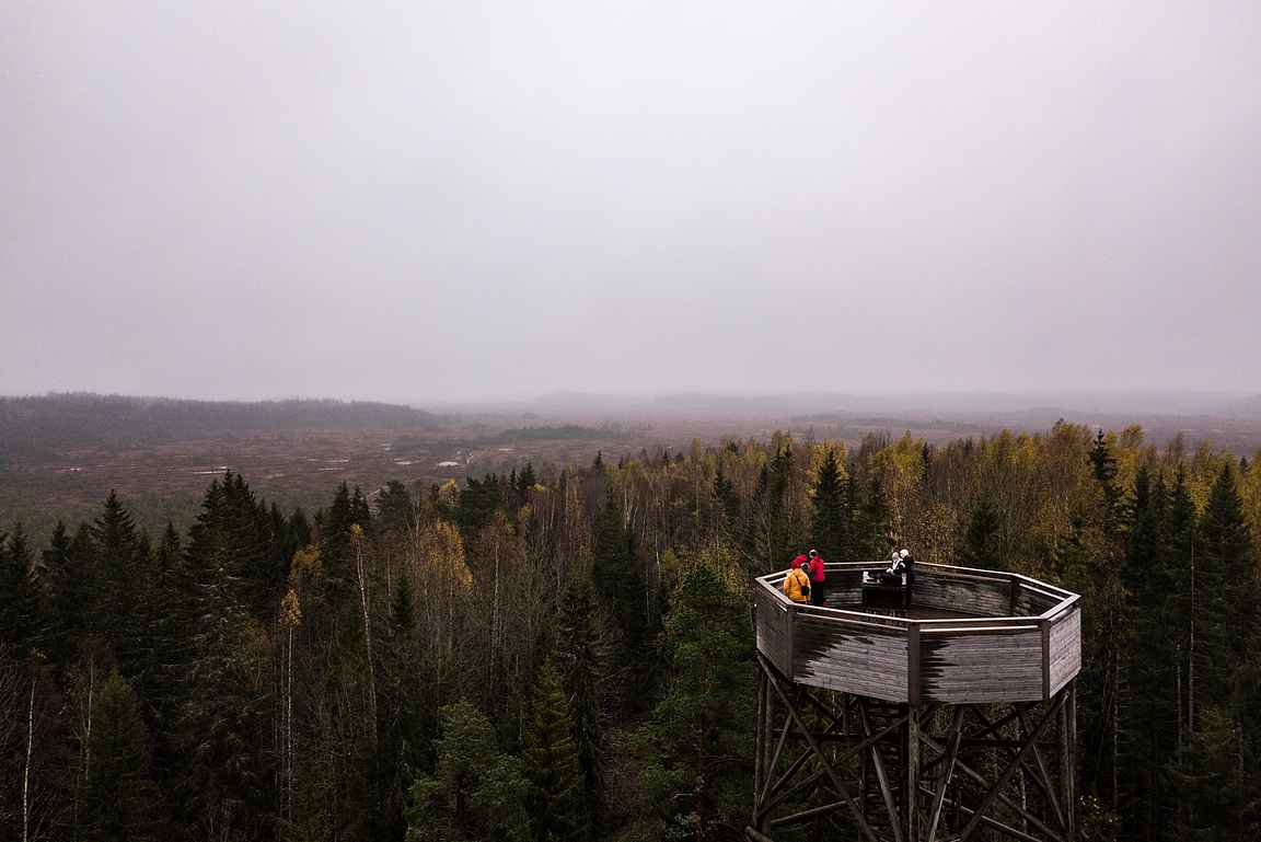 .... ja kyseiseltä reitiltä löytyy myös lintutorni yläilmoista Torronsuon ihailuun. copyright Lanttimatkat / Antti