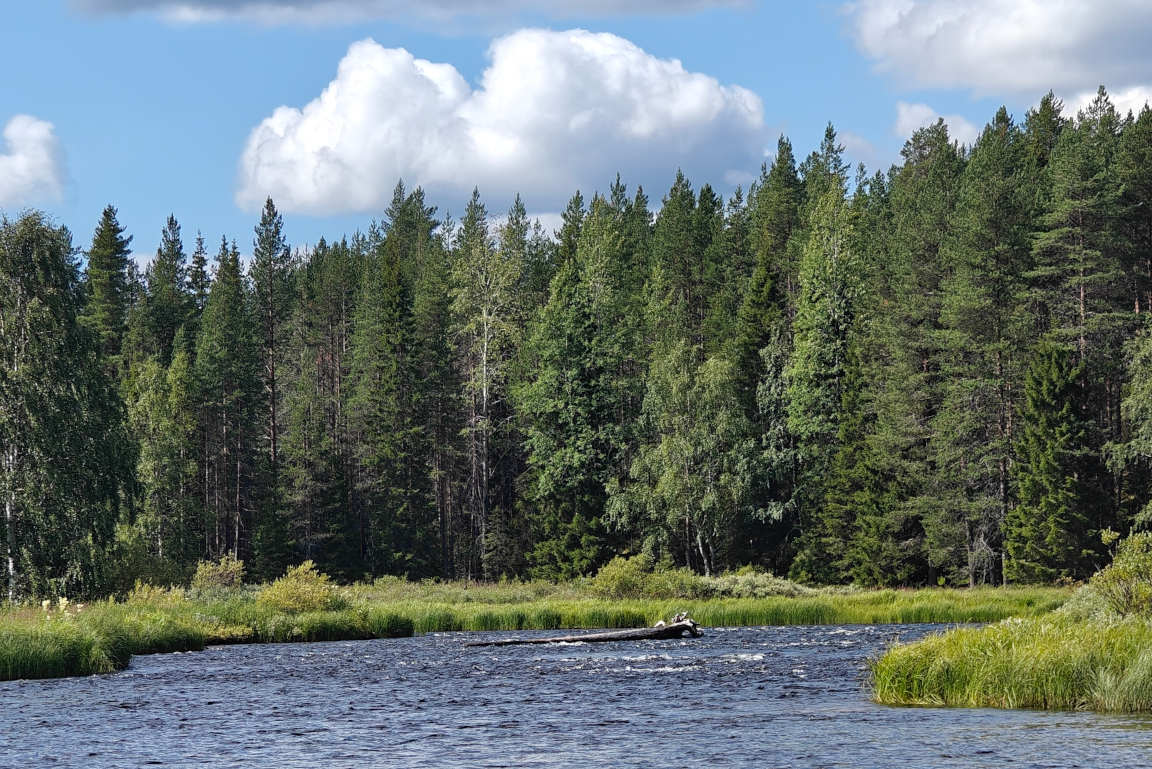 Opimme reitillä myös sen, että koskea pienempi virtaus on niva.