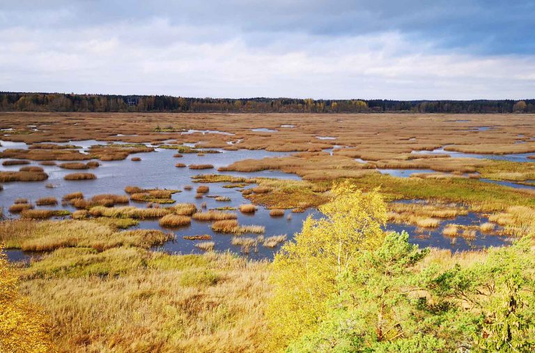 Puurijärven ja Isosuon kansallispuiston parhaat maisemat avautuvat Kärjenkallion lintutornista.