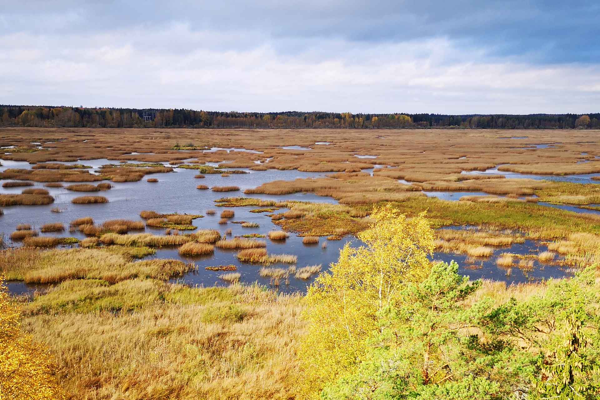 Puurijärven ja Isosuon kansallispuiston parhaat maisemat avautuvat Kärjenkallion lintutornista.