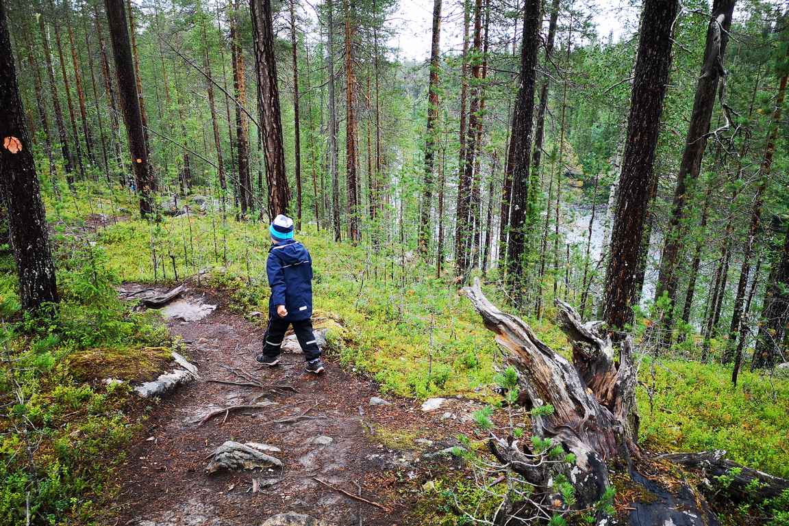 Välillä Julma-Ölkkykin pilkotti metsän siimeksestä.