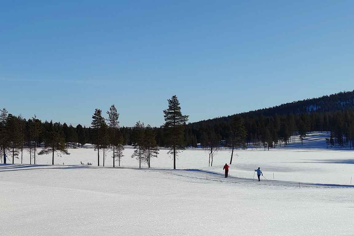 Levin golfkentällä on talvella mukavat ladut leppoisaan hiihtoon.