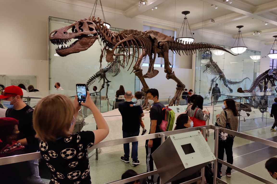 Luonnonhistoriallisen museon dinosaurukset ovat kiehtova kuvauskohde.