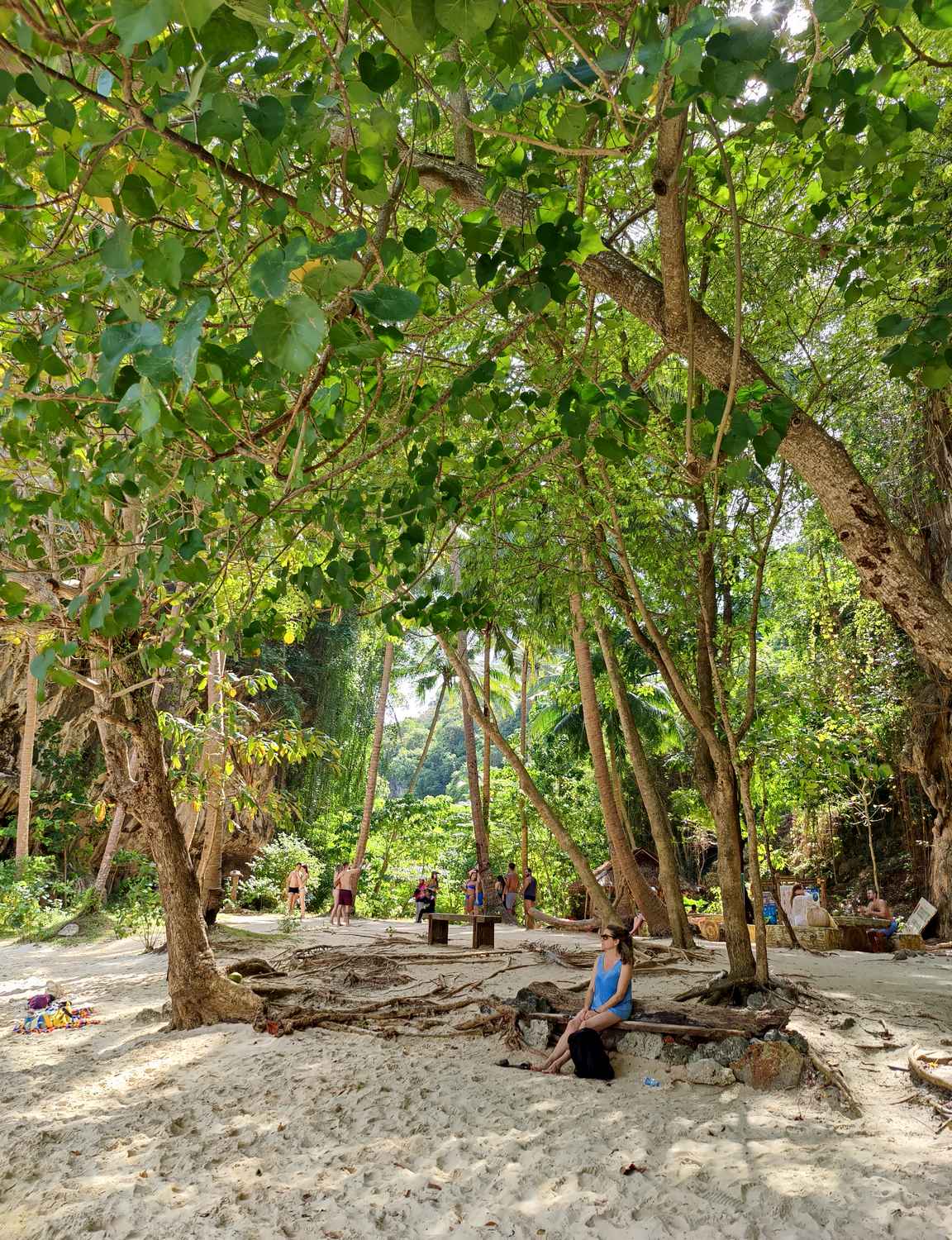Lao Ladingin rannan takana alkoi saarille tunnusoimainen vehreä viidakko.