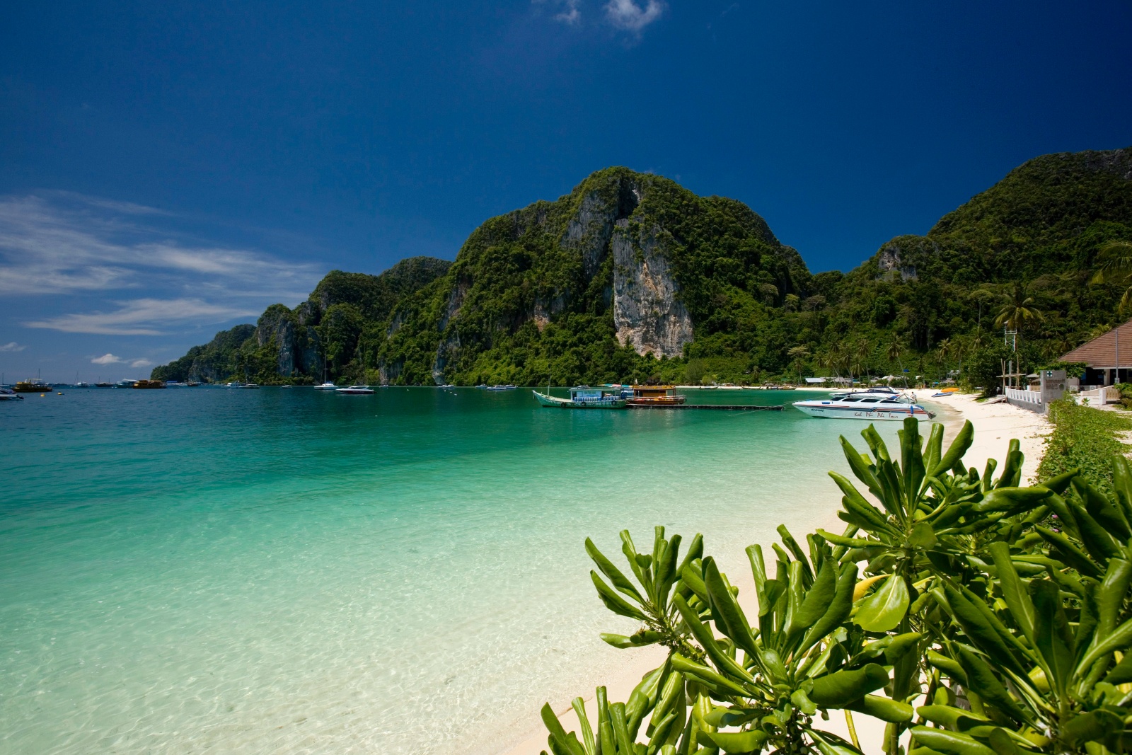 Teoriassa voisi olla niin, että Phi Phi saarilta voisi löytää tällaisia paratiisirantoja, mutta käytännössä ei ilman ihmisiä. copyright Thailand Tourism