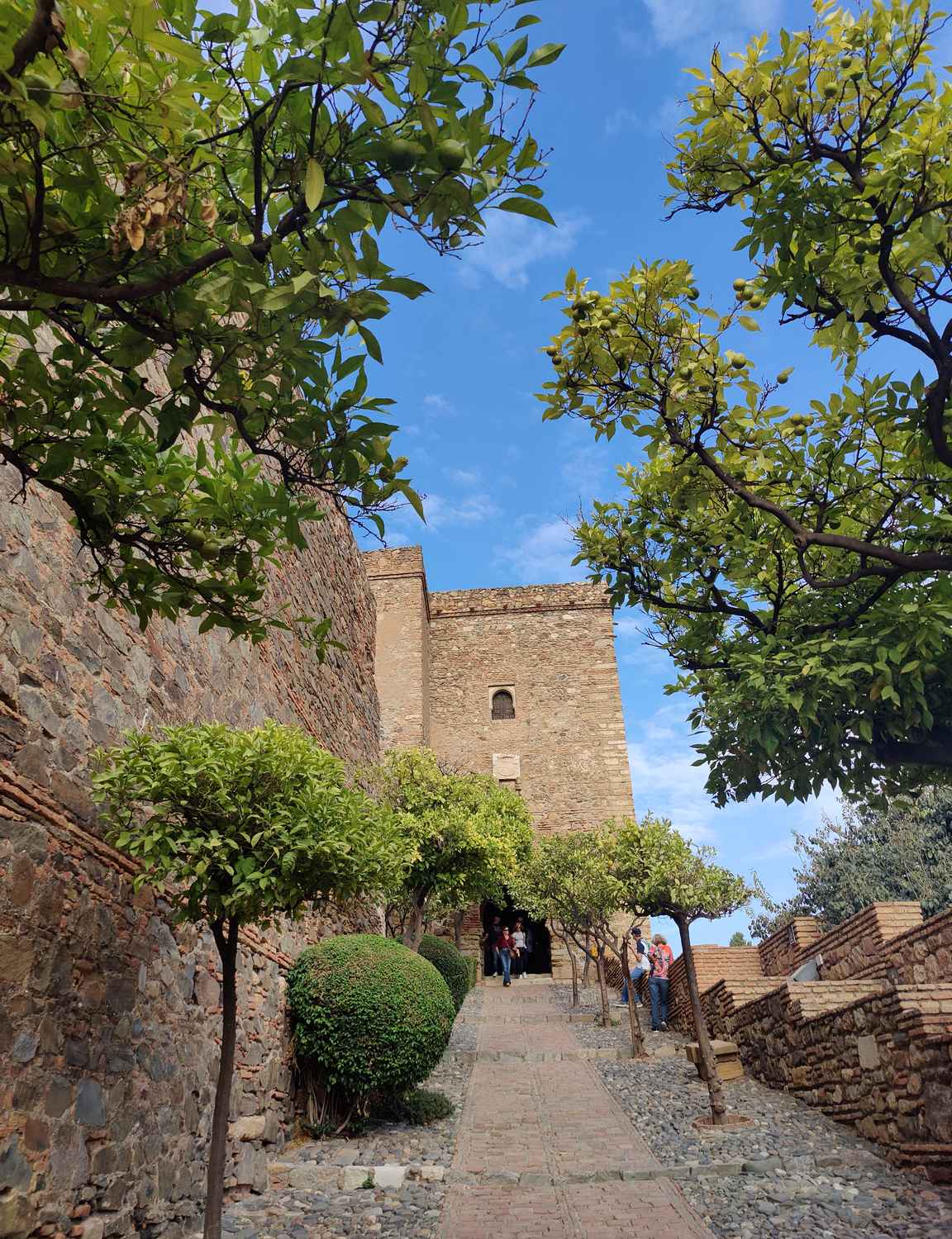 Alcazaban vehreys ja suojaisat muurit sulautuva kauniisti yhdeksi kokonaisuudeksi.