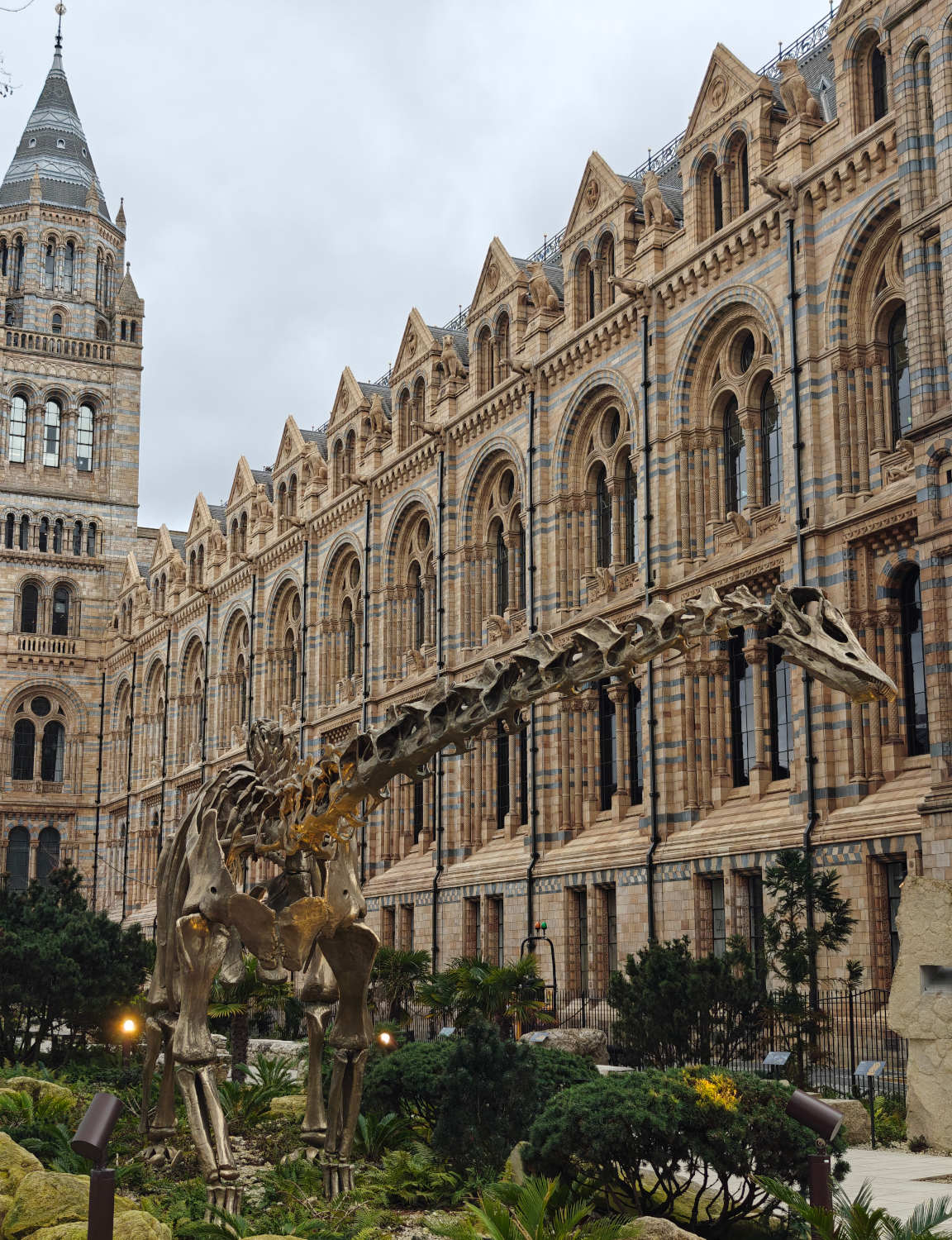 Arkkitehtuuri ja dinosaurukset ovat luonnontieteellisessä museossa pääosassa.