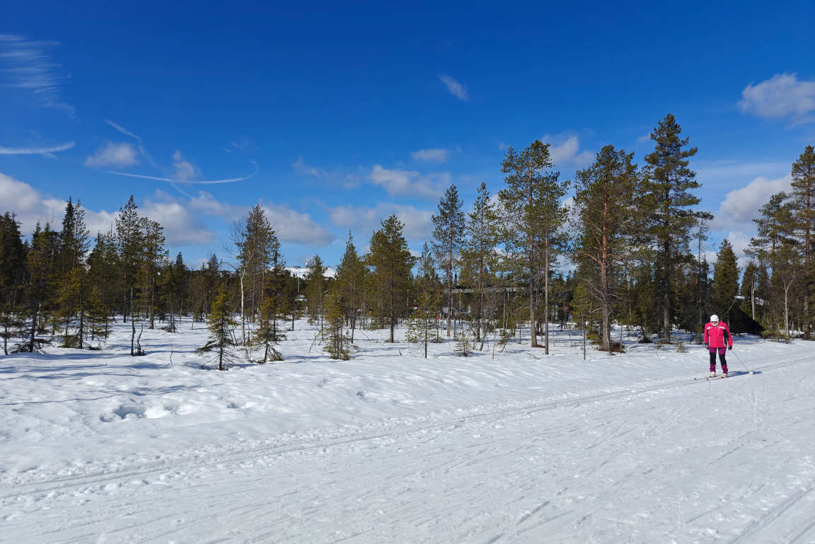Rukalla on leppoisa hiihdellä keväthangilla.