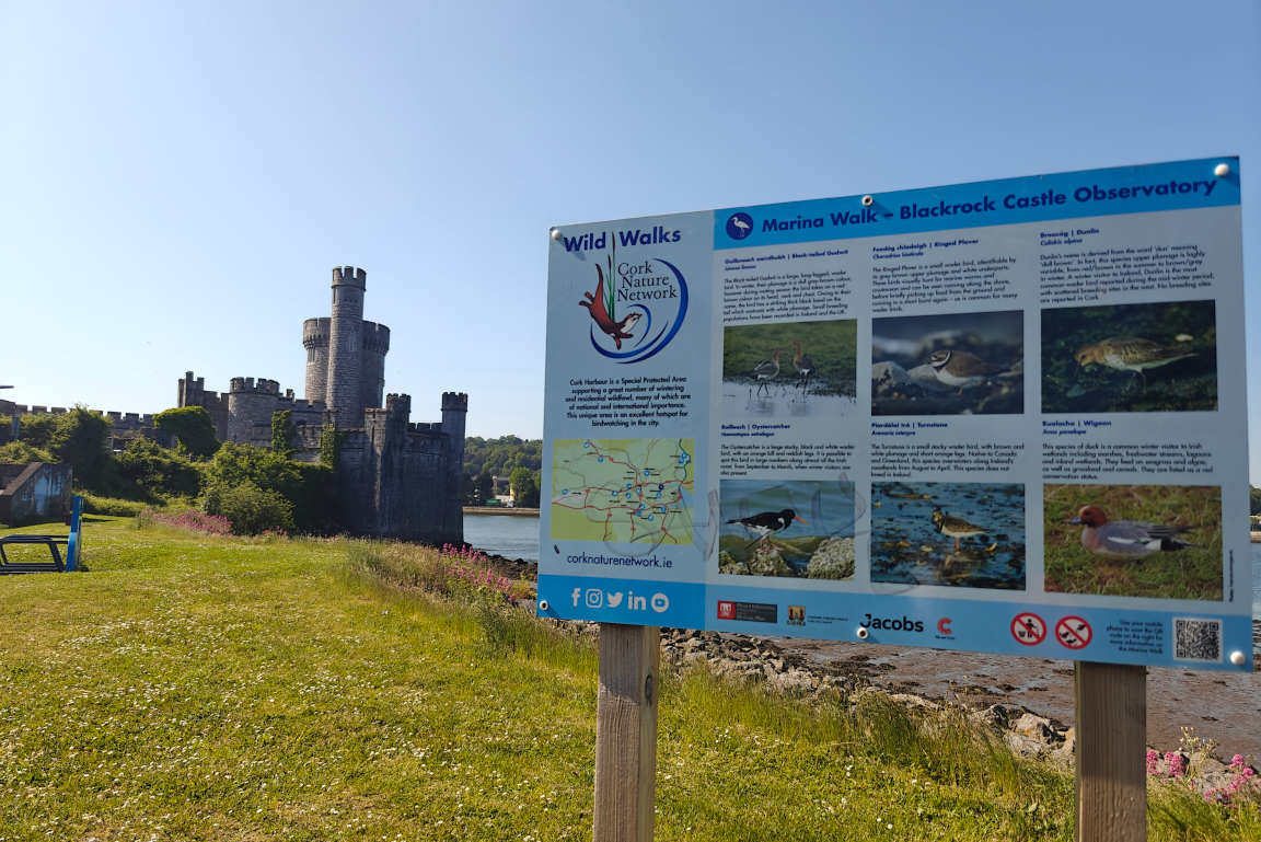 Blackrock Castlen lähistöllä on tarjolla myös Marina Walk -luontopolku.